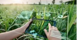 How AI Helps Farmers Increase Crop Production